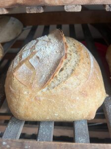 spelt