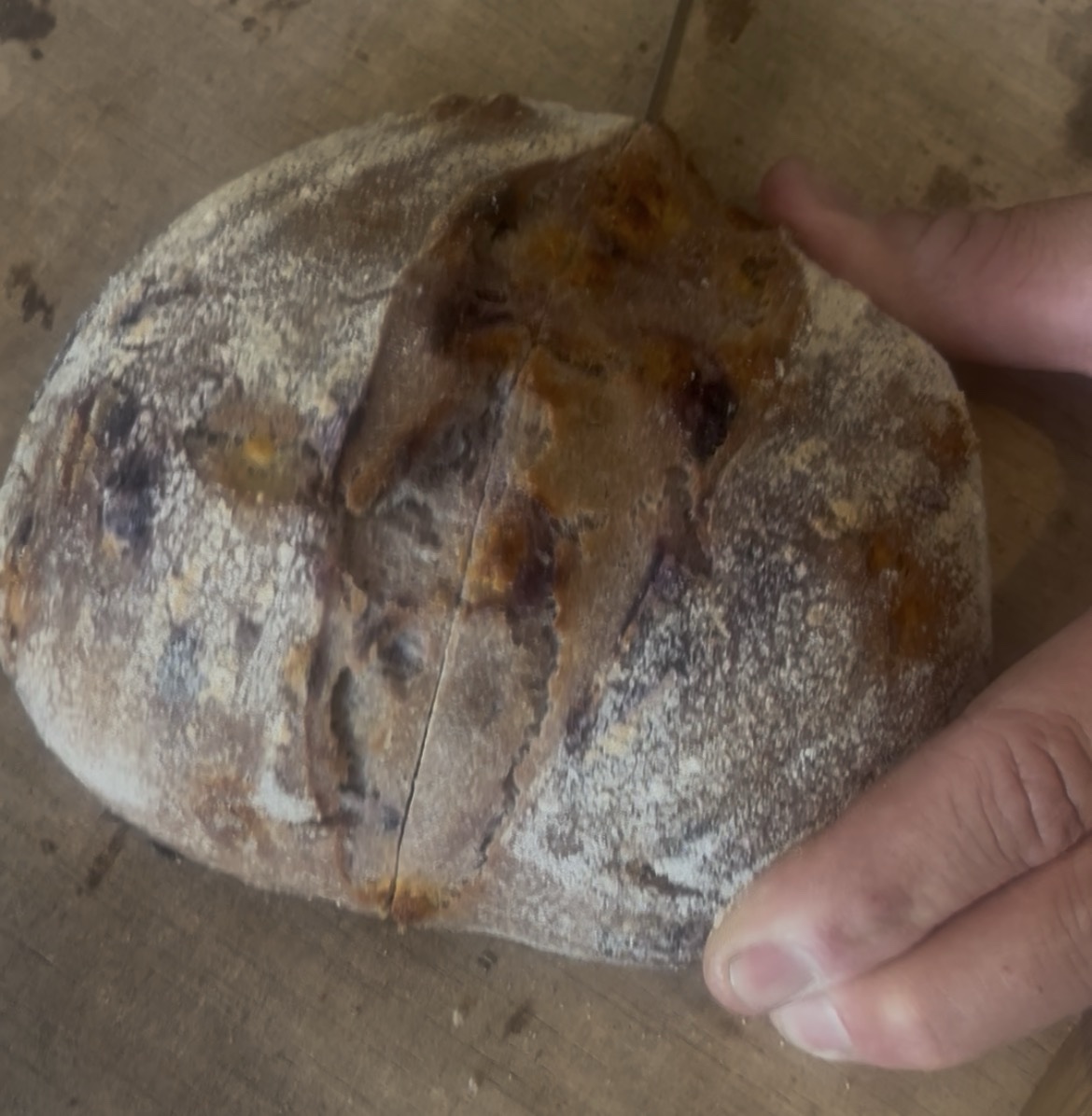 Bosbessen, citroen en wittechocolade brood